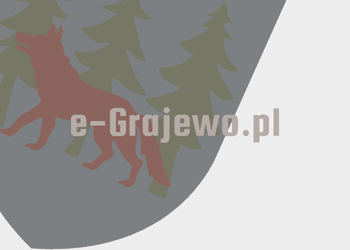 Grajewo ogłoszenia: kupię zimówki na stalówkach 16 do S-MAX